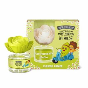 Coffret Mikado Fleur parfumée- 30 jours - 0% Alcool - Melon